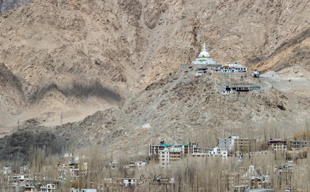 Far view of Shanti Stupa